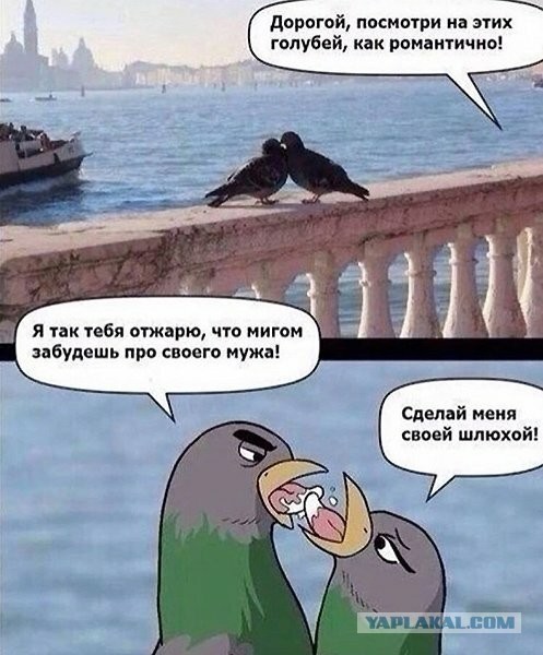 Подеградируем, побаяним... ч.2