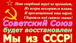 В Петербурге неизвестный разбросал по Невскому проспекту листовки с «преступлениями Путина»