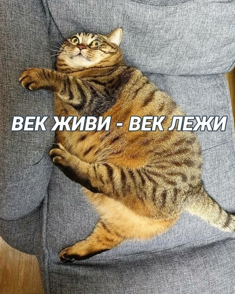 Земную жизнь пройдя до половины...