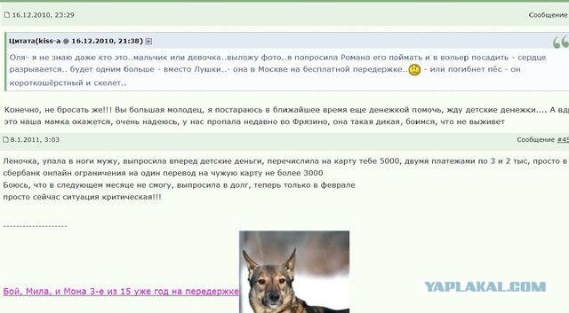 Женщине 35 лет. 3 брака. 5 детей. 3000 р. алиментов на всех. Как вы это делаете?