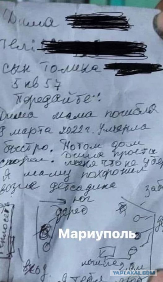 Казаки, герои Донбасса – в Бессмертном полку…
