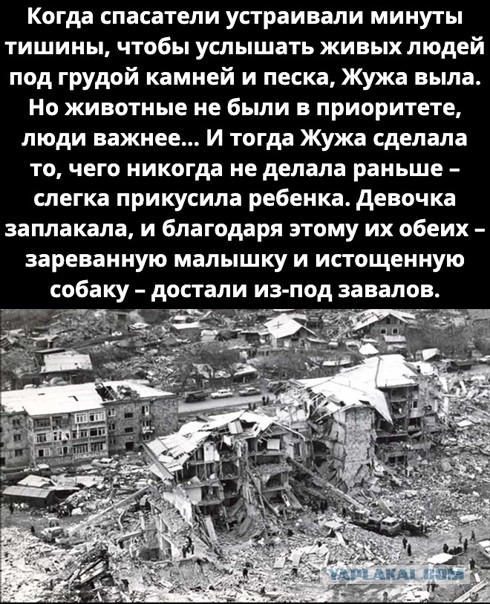 Украинские спасатели