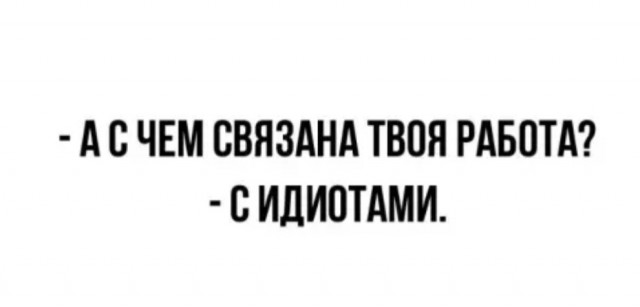 Весёлый полтишок 08.08.22