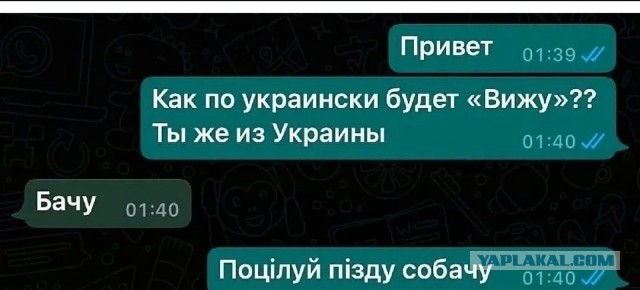 50 оттенков серого или самосвал баянов.  Vol.24. 54 штуки.