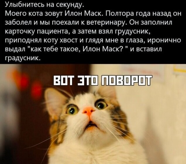 Скриншоты и комментарии из социальных сетей 1.10.22