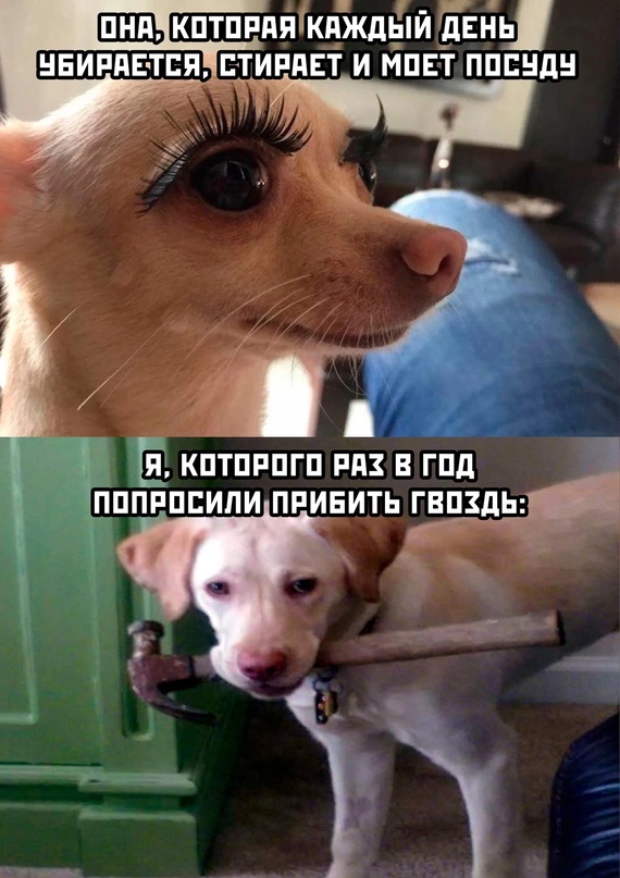 Весёлый полтишок 09.01.23