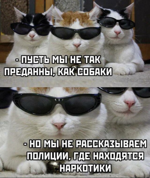Маленькая пятница.
