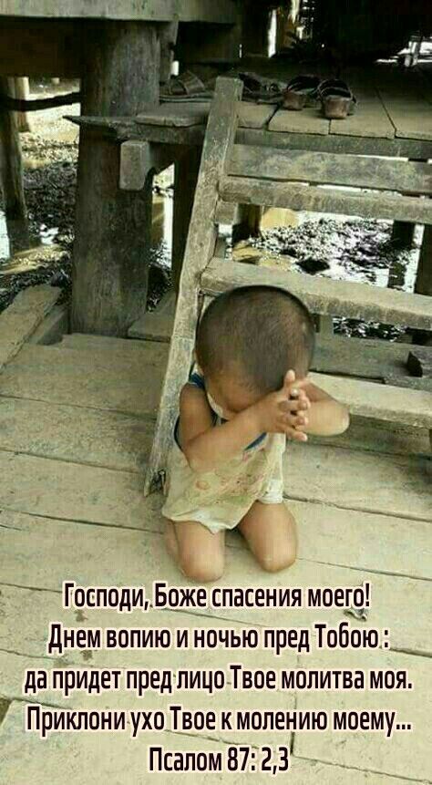 Прикольные и просто красивые картинки 29.12.2023