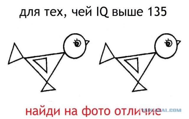 Так себе картинки 17.04.24