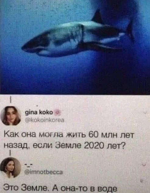 Так себе картинки 29.04.24