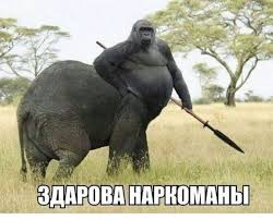 Юмор в картинках и без