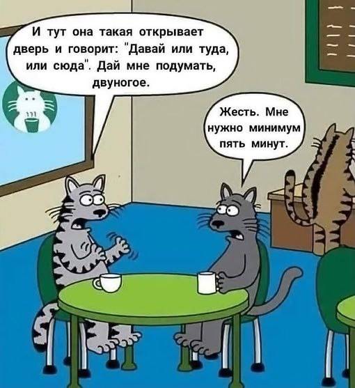 Весёлый полтшок 09.05.24
