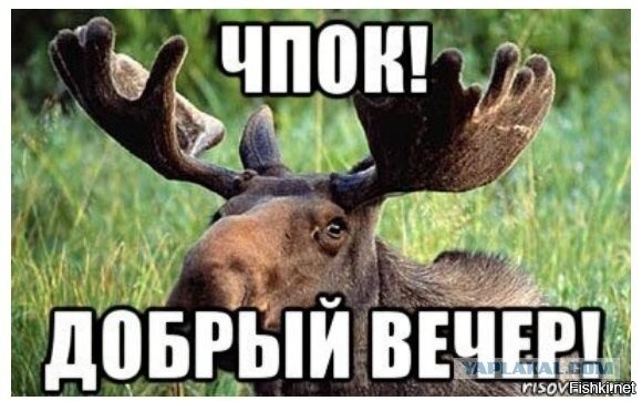 Какой ты рыцарь?