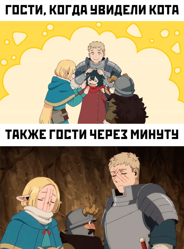 Весёлый полтишок 23.06.24