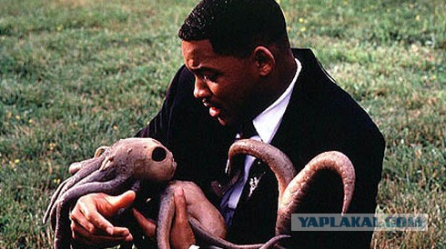 Помните их?