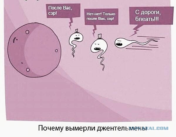 Всю жизнь думали, что в оплодотворении "побеждает" самый шустрый сперматозоид?