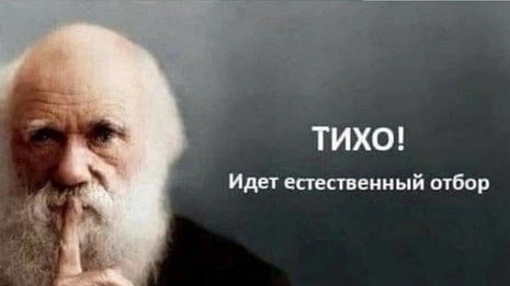 Поток желающих отправиться на СВО, заключив контракт в Москве, сократился в несколько раз по сравнению с осенью  прошлого года