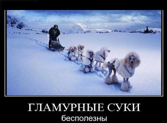 Анна Седокова в простыне