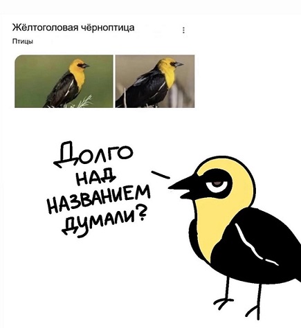 Моя любимая теория заговора