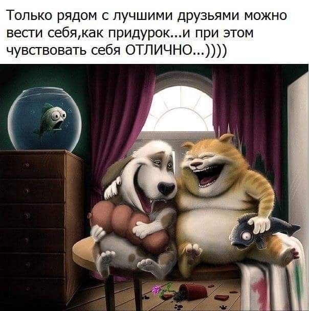 Прикольные и просто красивые картинки 16.05.2025