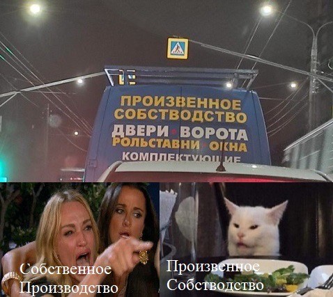 Знаменитый кот