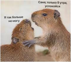 Веселые картинки в понедельник (25.08)