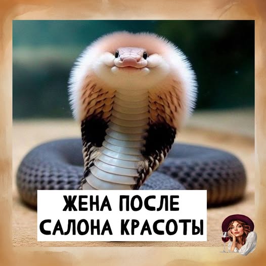 Картинки для деградации 57 (разной степени свежести)