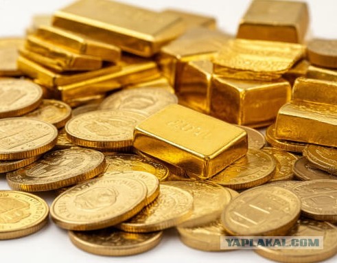 Решив построить во дворе бассейн, домовладелец нашёл золотой клад