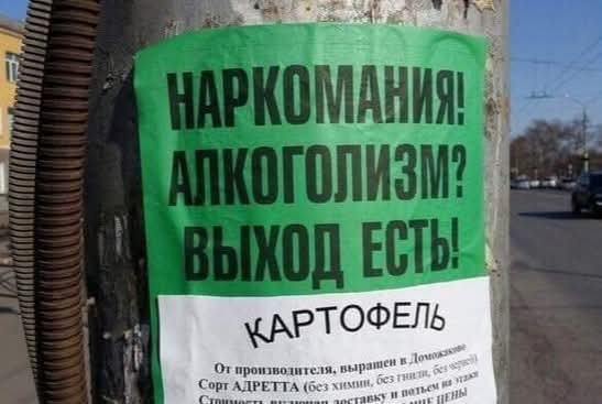 Суровая жисть