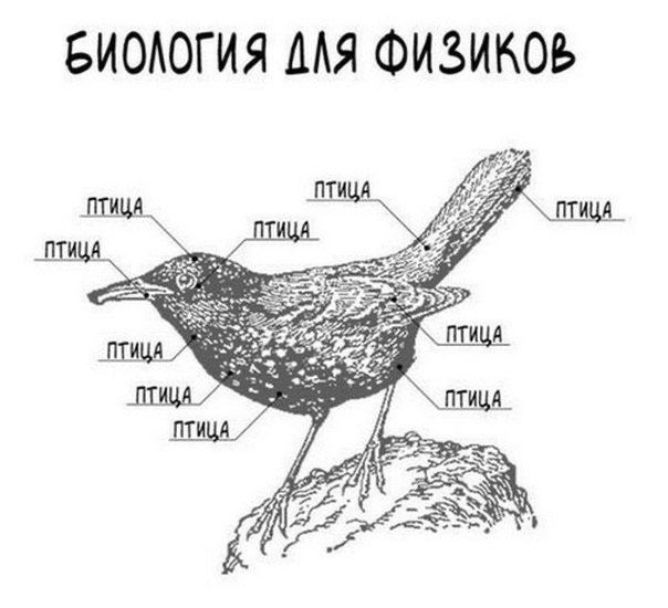 Дегронимикон