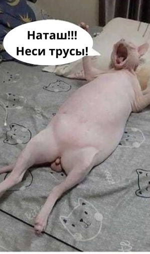 Подарок для дочки на ДР