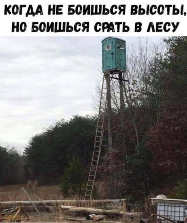 Субботние картинки