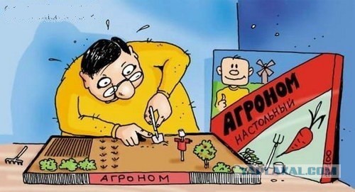 Массовая гибель редких осетровых рыб в Тверской области из-за глобального потепления.
