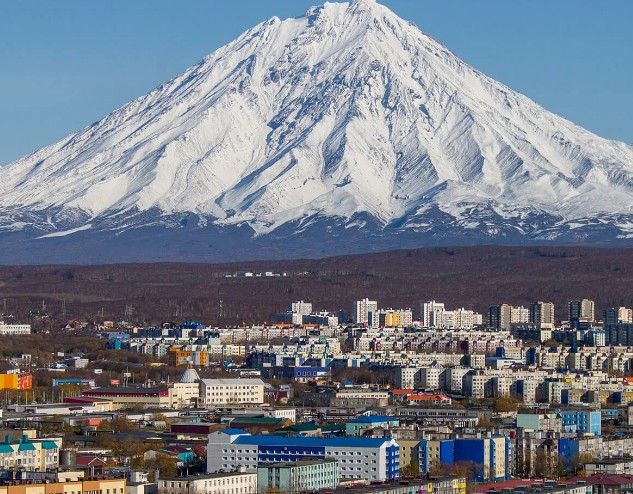 Двух тигриц отправили в Санкт-Петербург