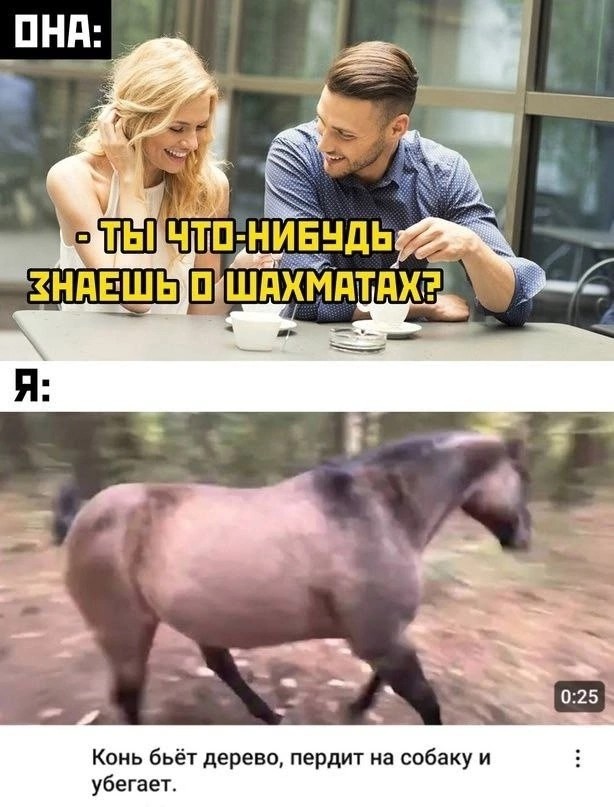 Картинки для деградации 282 (разной степени свежести)