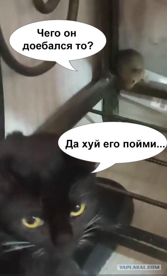 Об этом мы не договаривались