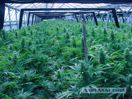 Я живу в жопе мира.