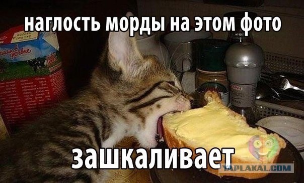 Уважаемые