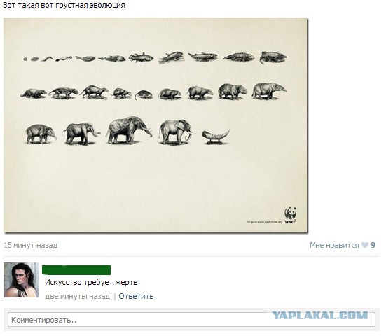 Смешные комментарии из социальных сетей