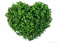 Отец исполнил мечту дочки