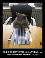 Обращение ополченца "Че Гевары"