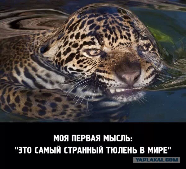 Немного позитива