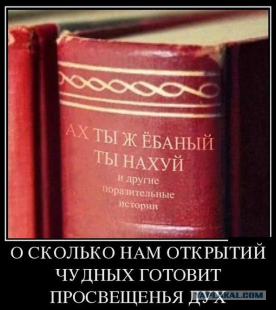 О бабах и айфонах.