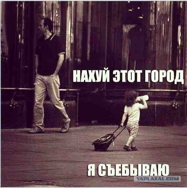 Когда вы плюсуeтe тему в платине