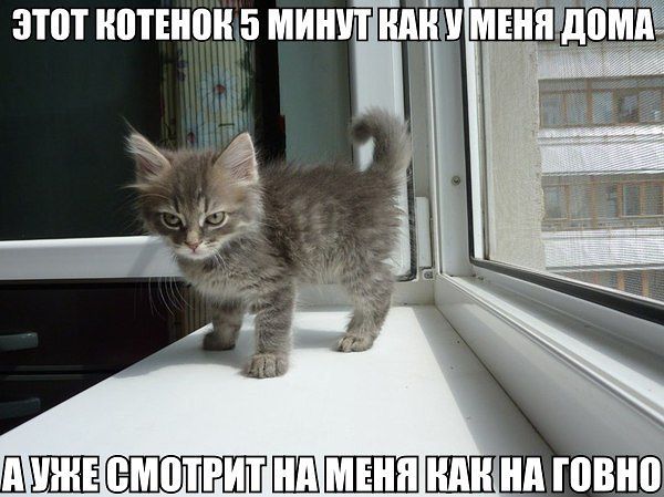 Немного позитива на пятницу.