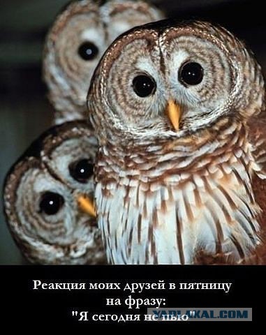 Поднимаем настроение