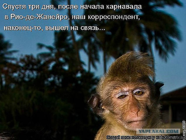 Чёрт, чёрт, чёрт!