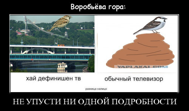 Воробьёвы горы.