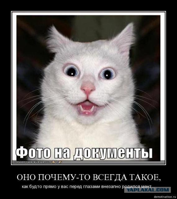 Немного картинок и юмора