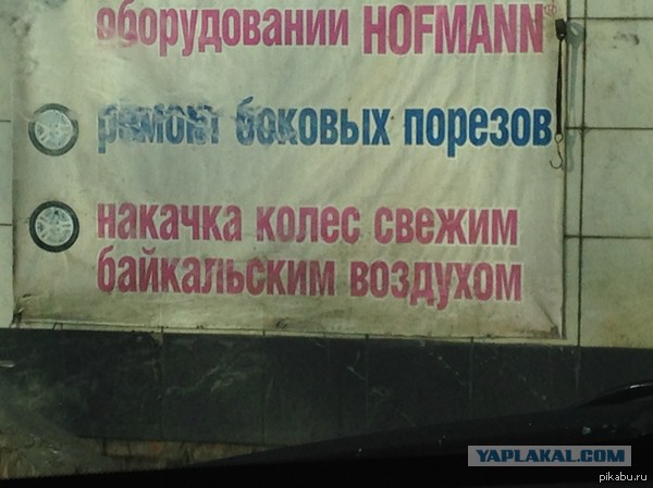 Весёлое из сети